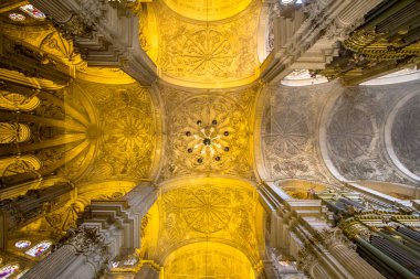 Malaga, Endülüs, İspanya 'daki Katedral' in güzel, aydınlık tavan manzarası