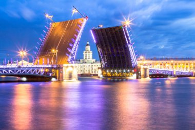 Neva Nehri 'nin gece manzarası. Palace Drawbridge St. Petersburg, Rusya.