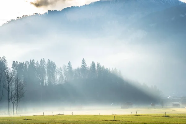 Alp Vadisi Nde Sabah Sabah — Stok fotoğraf