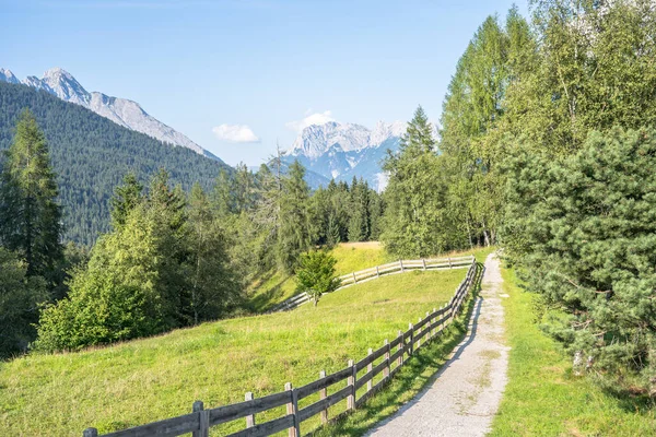 Piękna Alpejska Łąka Górach Latem — Zdjęcie stockowe