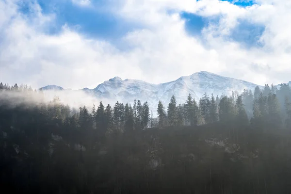 Vista Floresta Escura Vale Alpino — Fotografia de Stock