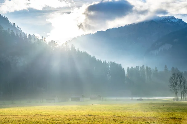 Ранним Утром Альпийской Долине — стоковое фото