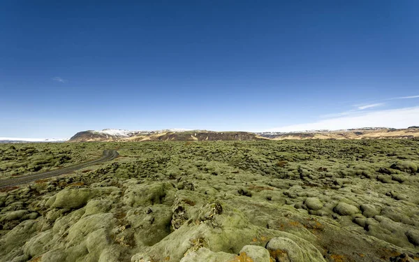 Island lava fält täckt med grön mossa — Stockfoto