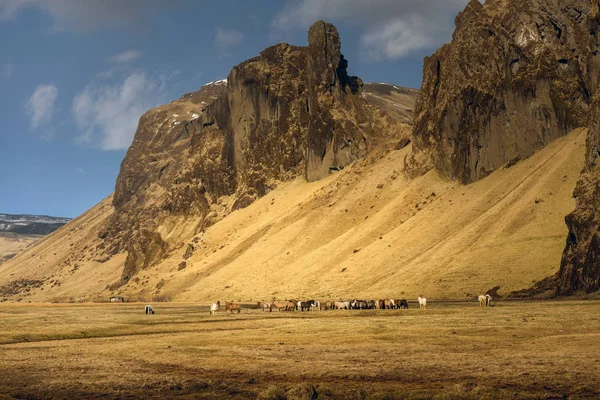 Malerische Berglandschaft aufgenommen — Stockfoto