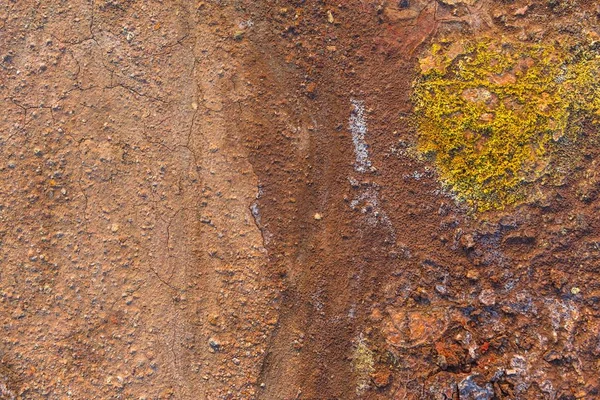 Dry soil closeup — Stock Photo, Image