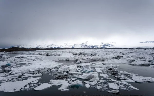 Ijsbergen op de gletsjer lagune — Stockfoto