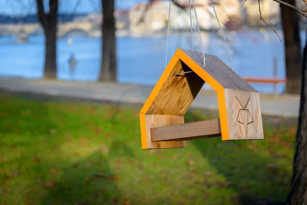 Casa sull'albero per uccelli — Foto Stock