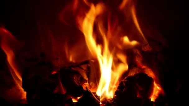 Burning fire in a home fireplace — Stock Video