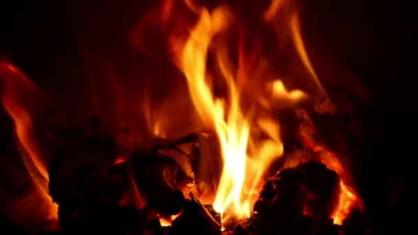 Fireplace Video Loop Stock Videos Royalty Free Fireplace Video