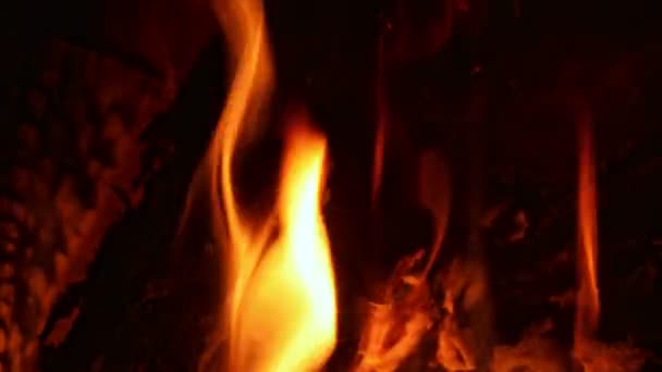 Brinnande eld i en hem eldstad — Stockvideo