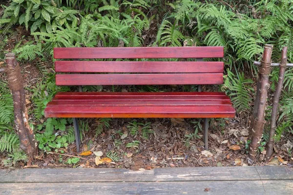 Banc rouge dans le parc à l'extérieur — Photo