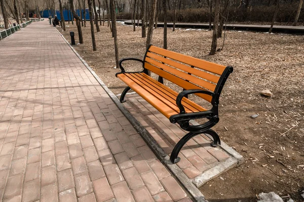 屋外公園の赤いベンチ — ストック写真