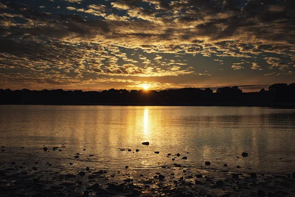 Golden sunset ağaçlar shilhouettes ile — Stok fotoğraf