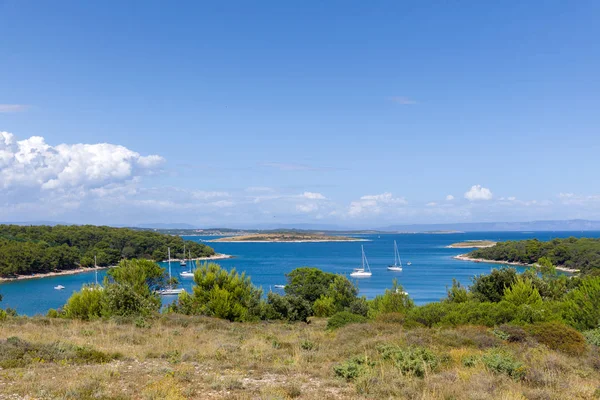 Closeup πλάνα από βραχώδη ακτή — Φωτογραφία Αρχείου