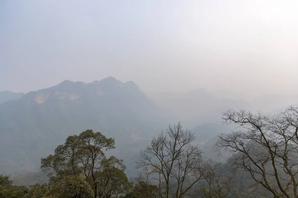 Algunos árboles y grandes montañas bajo el cielo brumoso —  Fotos de Stock