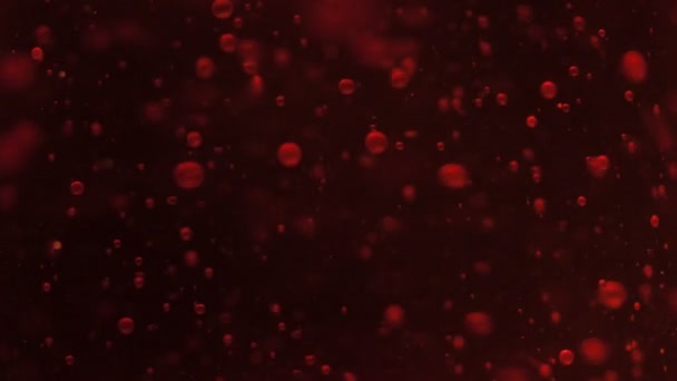 Kleine rote Blutkörperchen in Flüssigkeit — Stockvideo