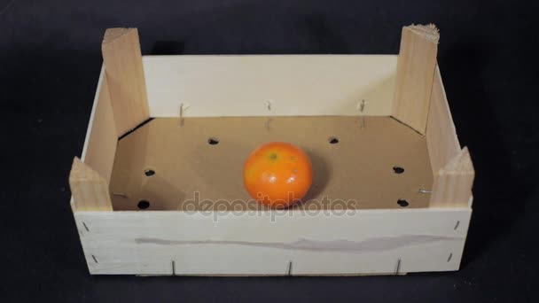 Φρούτα πλήρωση ξύλινο κουτί — Αρχείο Βίντεο