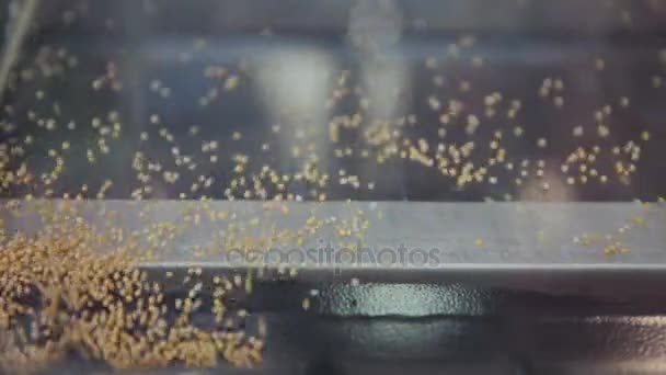 Golden seed flowing in machine — Stock Video