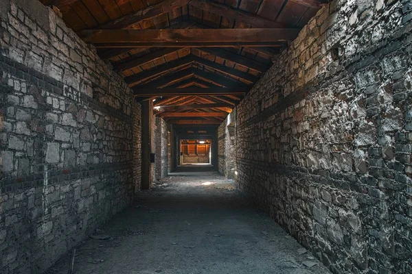 Terk edilmiş binada ürpertici tavan iç — Stok fotoğraf