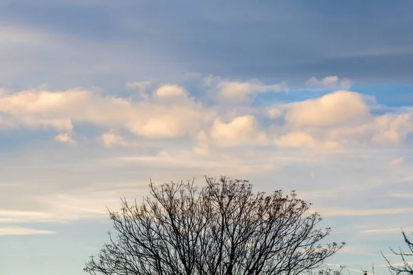 Krásný skyscape s malými mraky — Stock fotografie