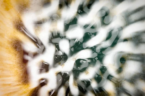 Phot microscopique avec organismes et formes abstraites — Photo