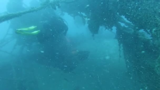 Foorage submarino de buzos en el agua — Vídeo de stock