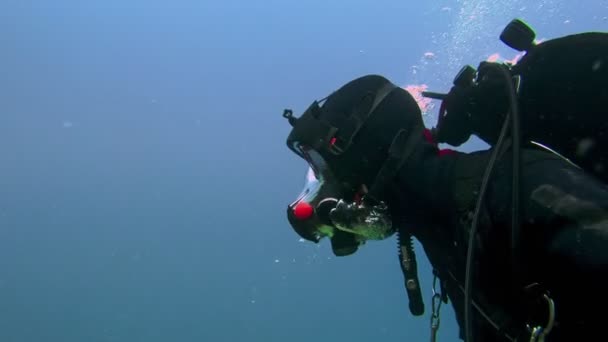 Foorage submarino de buzos en el agua — Vídeo de stock