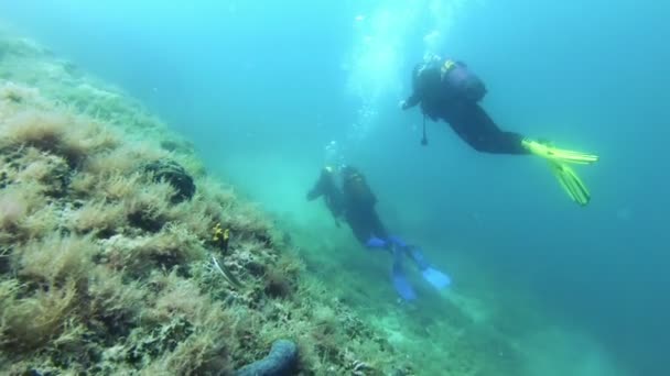 Foorage submarino de buzos en el agua — Vídeo de stock