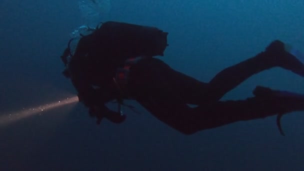Divers with flashlights underwater at night — Stock Video