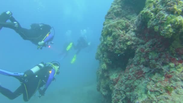 Foorage submarino de buzos en el agua — Vídeo de stock