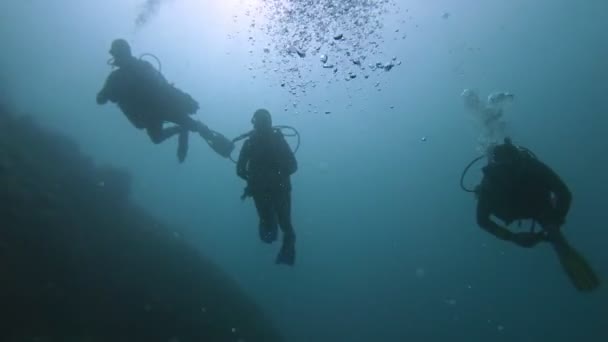 Foorage submarino de buzos en el agua — Vídeo de stock