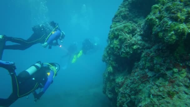 Дайверы под водой плавают в море — стоковое видео