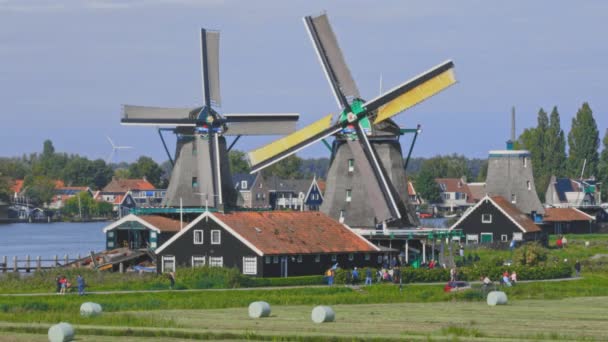 Molinos de viento holandeses en Holanda material de primer plano — Vídeos de Stock