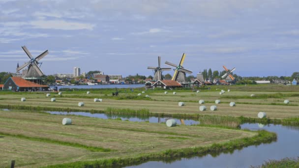 Molinos de viento holandeses en Holanda material de primer plano — Vídeos de Stock