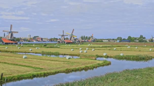 Molinos de viento holandeses en Holanda material de primer plano — Vídeos de Stock