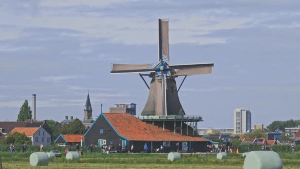 Molinos de viento holandeses en Holanda material de primer plano — Vídeos de Stock