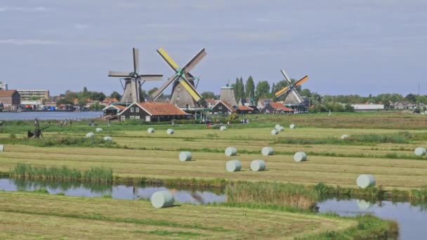 Molinos de viento holandeses en Holanda material de primer plano — Vídeos de Stock