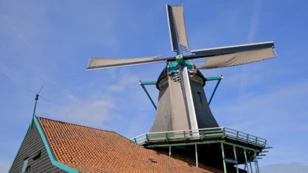 Moulins à vent néerlandais aux Pays-Bas gros plans — Video