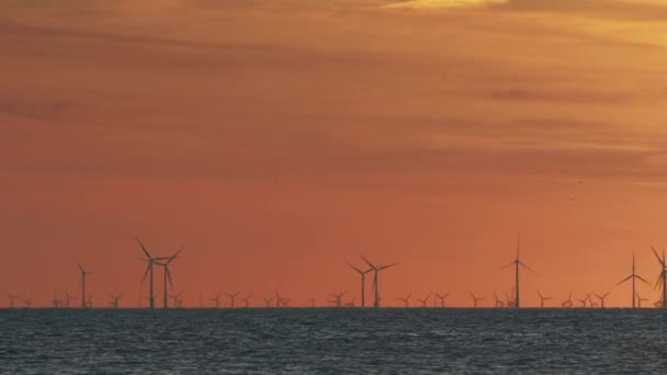 Günbatımında denizdeki rüzgâr çiftliği — Stok video