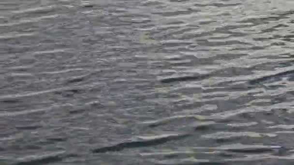 背景テクスチャとしての水面 — ストック動画