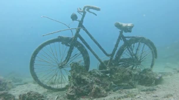 Régi kerékpár víz alatti közeli felvétel — Stock videók