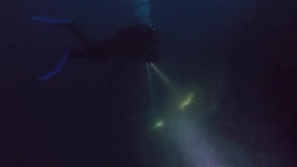 Divers with flashlights underwater at night — Stock Video