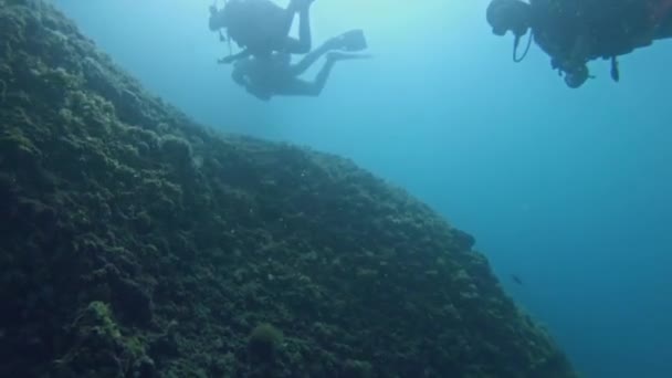 Búvárok víz alatti úszás a tengerben — Stock videók