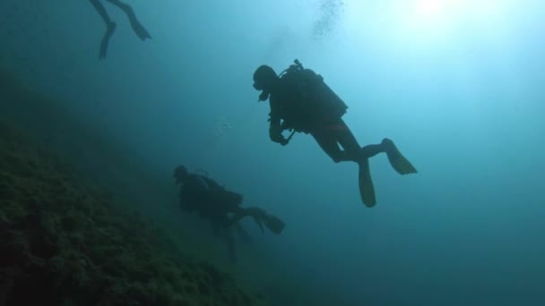 Plongeurs sous-marins nageant dans la mer — Video