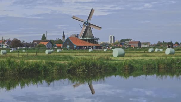 Molinos de viento holandeses en Holanda material de primer plano — Vídeo de stock
