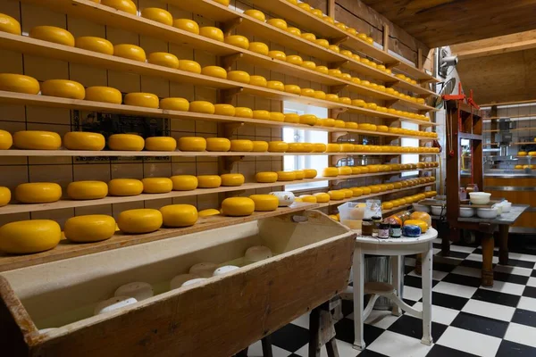 Un sacco di formaggio intero in fabbrica — Foto Stock