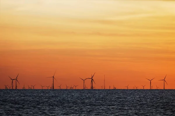 Parque eólico en el mar al atardecer — Foto de Stock