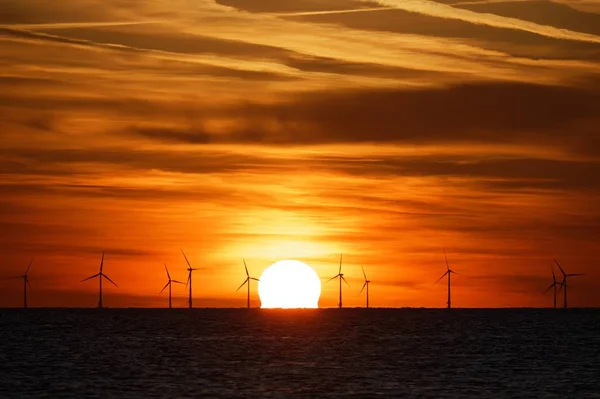 Vindkraftpark på havet vid solnedgången — Stockfoto