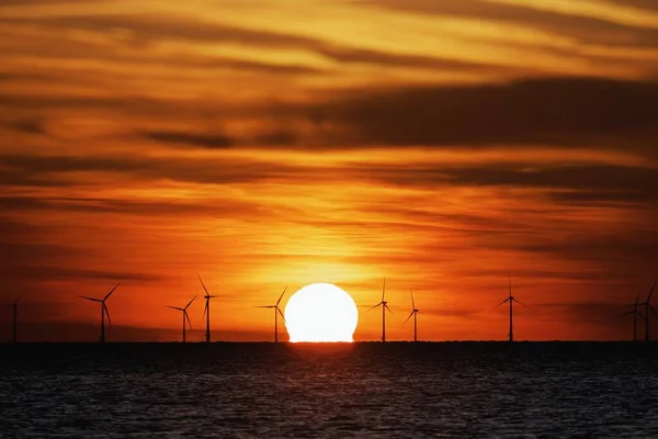 Vindkraftpark på havet vid solnedgången — Stockfoto