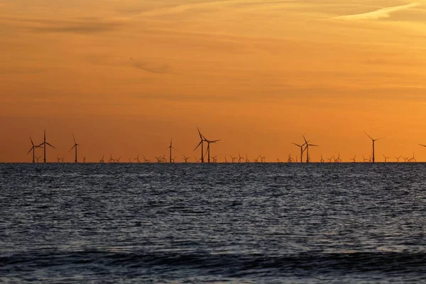 Parco eolico sul mare al tramonto — Foto Stock